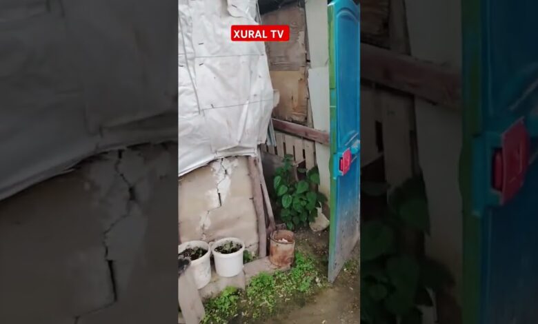 Vətən oğlunun harayı