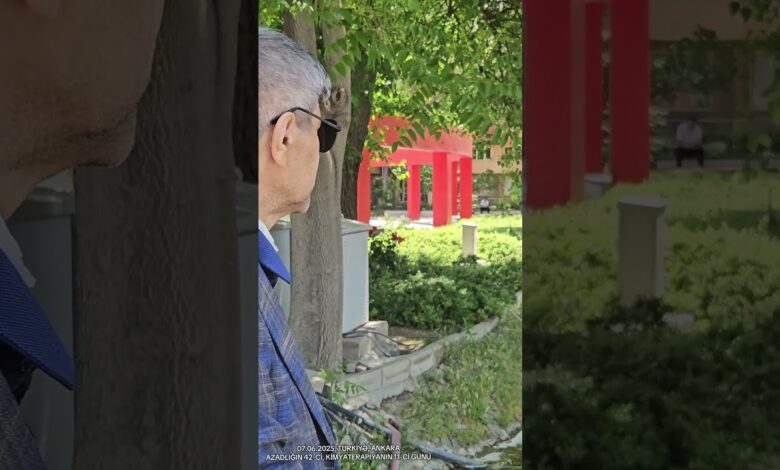 AZADLIĞIN 42-Cİ GÜNÜ