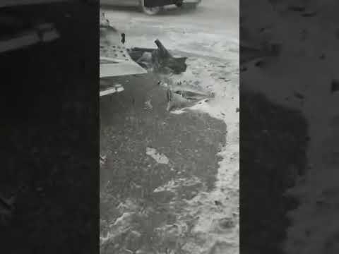 Bakı-Qazax yolunda onlarla avtomobil toqquşdu...
