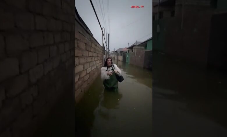 "BİZİ İNSAN YERİNƏ QOYAN OLACAQMI?"