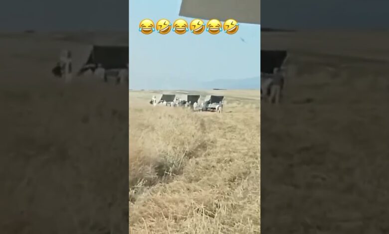 "OTU BİÇİB QURTARANDAN SONRA MİNAAXTARANLAR ƏRAZİYƏ GƏLİB"